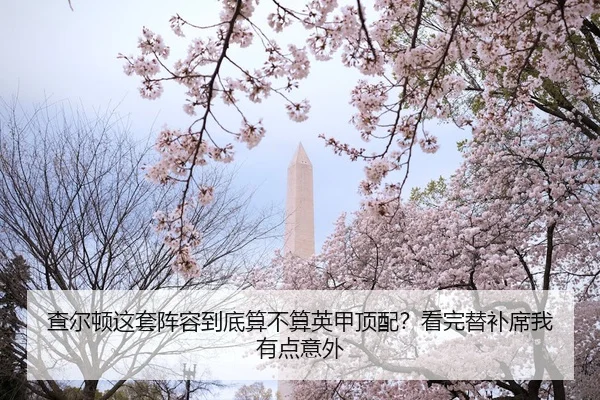 cha-er-dun-zhe-tao-zhen-rong-dao-di-suan-bu-suan-ying-jia-ding-pei-kan-wan-ti-bu-xi-wo-you-dian-yi-wai-2-417.jpg