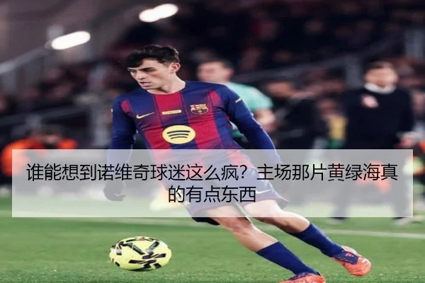 谁能想到诺维奇球迷这么疯？主场那片黄绿海真的有点东西